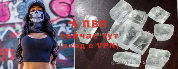 СК Белая Холуница