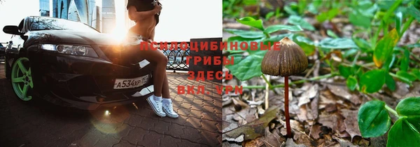 альфа пвп Нея
